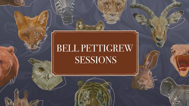 bell pettigrew sessions star graphic.jpg