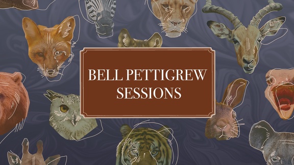 bell pettigrew sessions star graphic